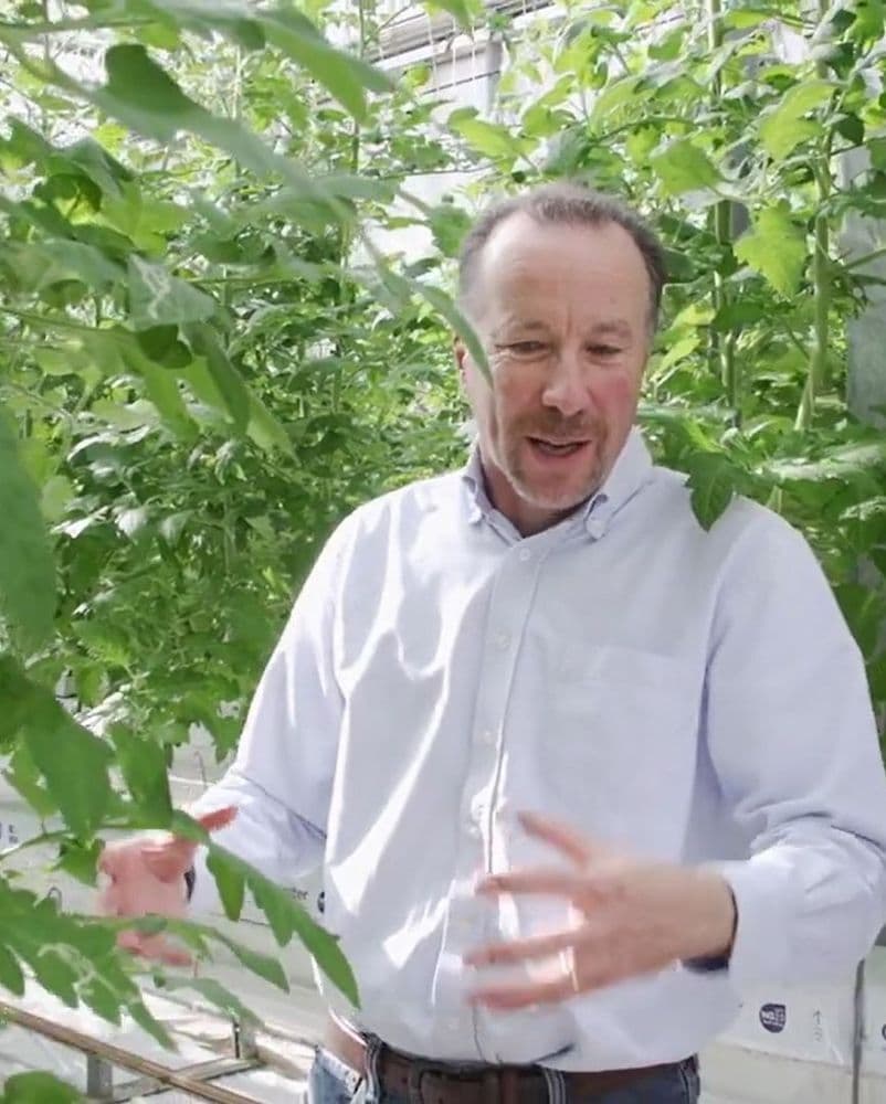 Glen Avon Growers: Commercial greenhouse keeps the price of their quality British produce low by reducing energy costs