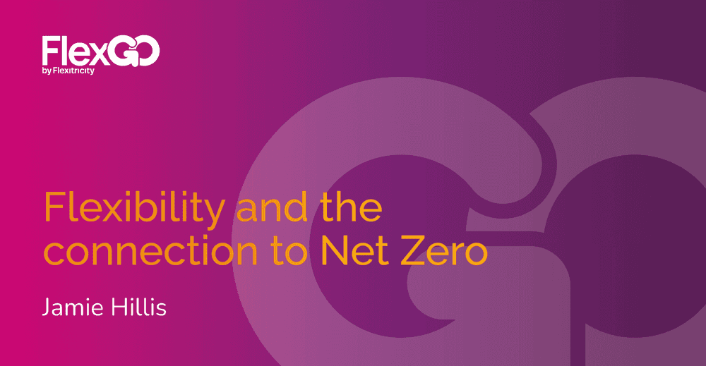 Flexibility and the connection to Net Zero