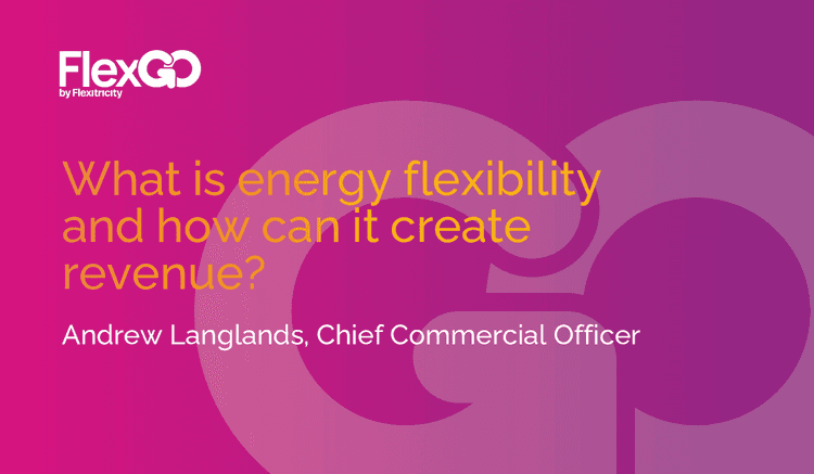 What is energy flexibility and how can it create revenue? 