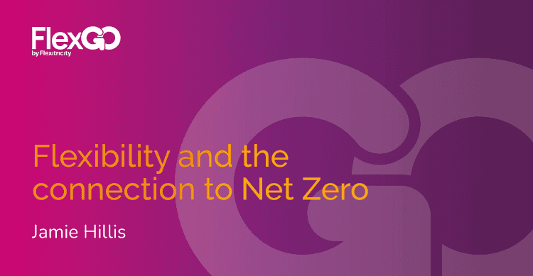 Flexibility and the connection to Net Zero